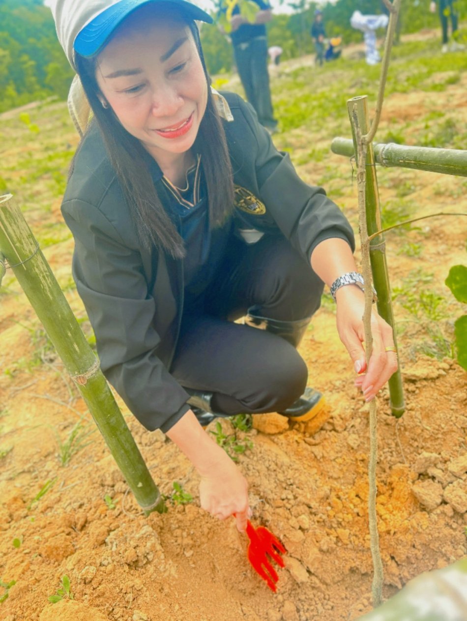 วันที่ 23 กรกฎาคม 2569 เวลา 09.00 น. เทศบาลตำบลท่าศิลานำโดย นางสาวจันทร์ทิพย์ ก้องเวหา นายกเทศมนตรีตำบลท่าศิลา พร้อมด้วยนายณรงค์ สวัสดี รองนายกเทศมนตรีตำบลท่าศิลา นายอุทัย จันทร์ใส รองนายกเทศมนตรีตำบลท่าศิลา คณะบริหาร สมาชิกสภา หัวหน้ากองหัวหน้าฝ่าย พนักงานเทศบาลตำบลท่าศิลา และมวลชนตำบลท่าศิลาร่วมปลูกป่ารักษาทรัพยากรท้องถิ่นและเพิ่มพื้นที่สีเขียวประจำปี2569 ณ บ้านหนองลุมพุก